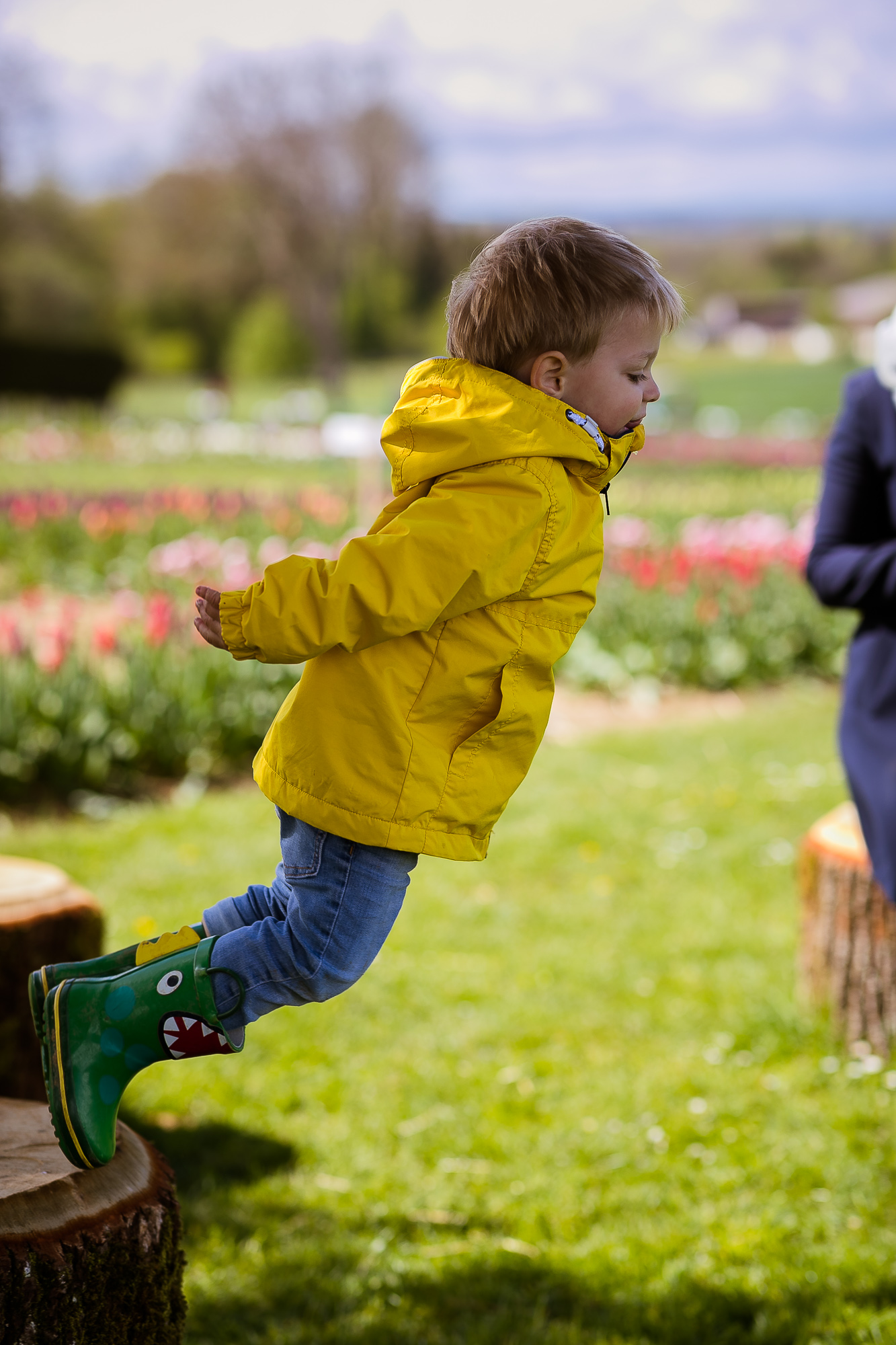 Export x3 1DX28240 Familienfotoshooting 2019 Hefti